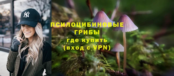 а пвп мука Армянск